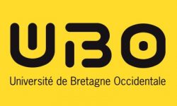 ubo-jaune